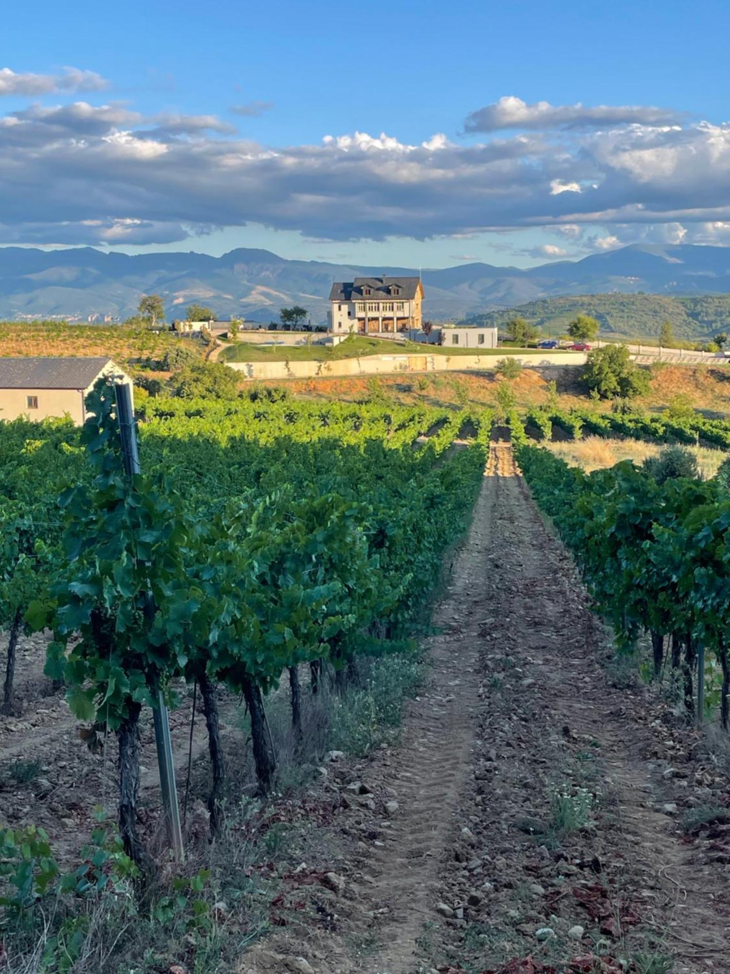 Boutique Finca Esencial บียาฟรันกา เดล เบียร์โซ ภายนอก รูปภาพ